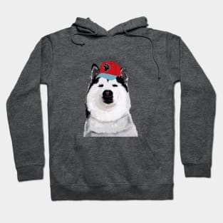 Husky Dog Hoodie